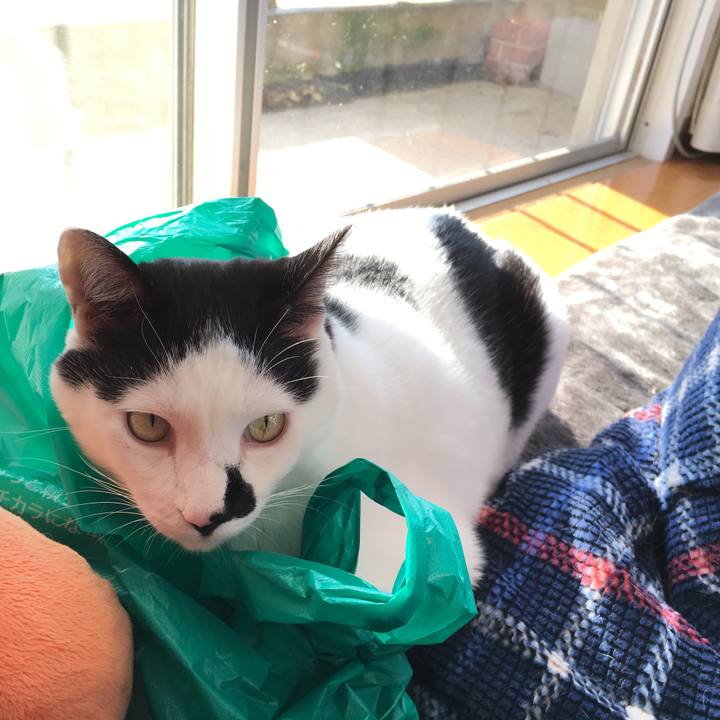 Ce38652a cde5 451e b79c 082f788e34bc 1512996264970