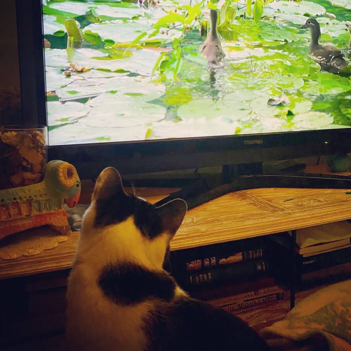 Ce386ec8 b3be 4dca a641 b0a7235043a8 1580036394179