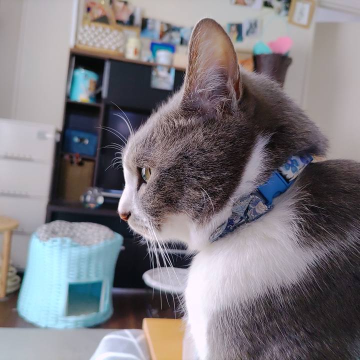 Ce38b55d 2a8c 48fe a276 9807383cd153 1711770093073