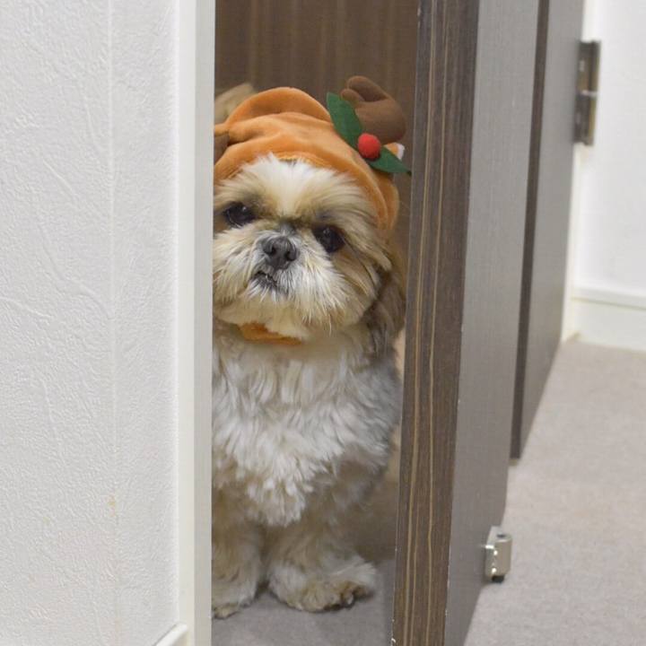 Ce38bd76 b898 4cde 8564 e7a68435d151 1514124046239