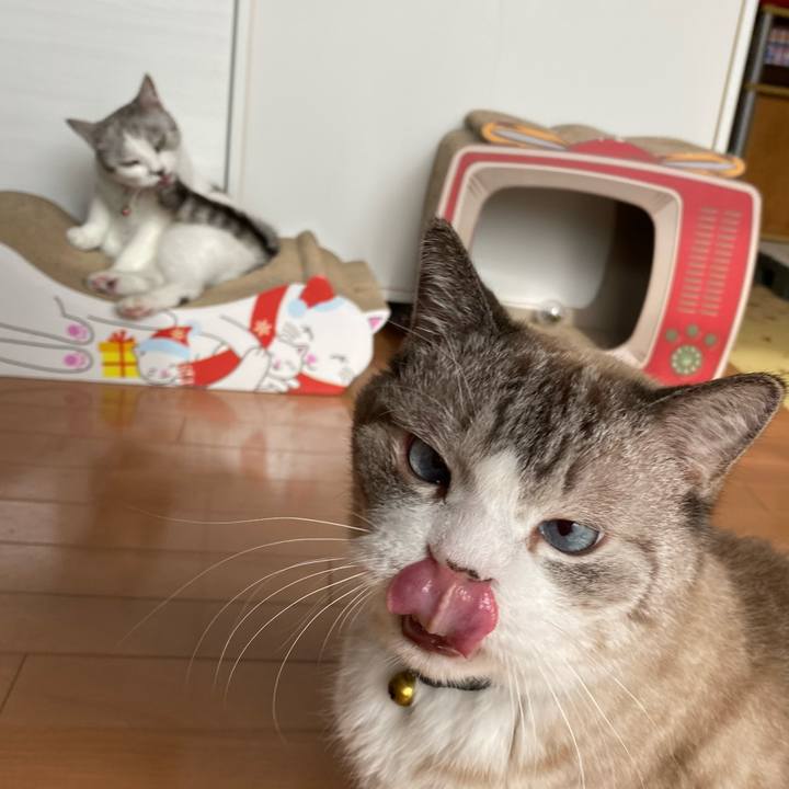 Ce38d0e3 30d9 416f a016 9a44d7022c04 1635814694308