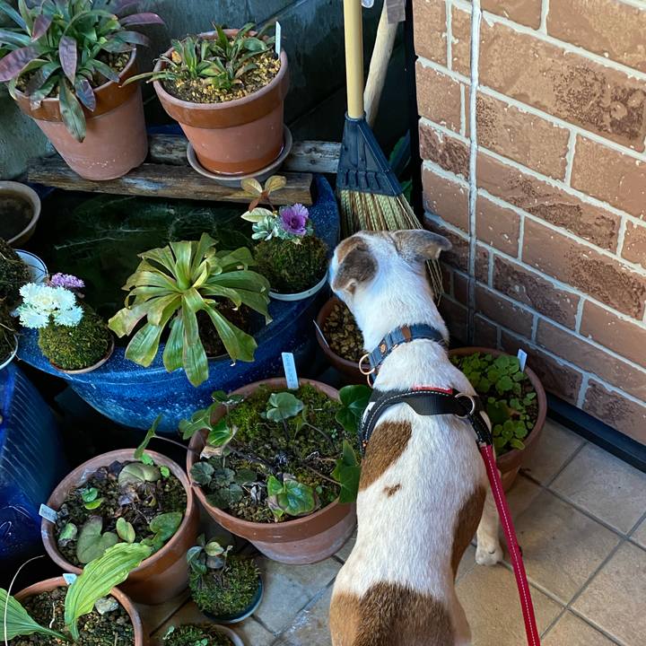 Ce38e149 3dec 4e64 837e ba16c4a93326 1612571782297