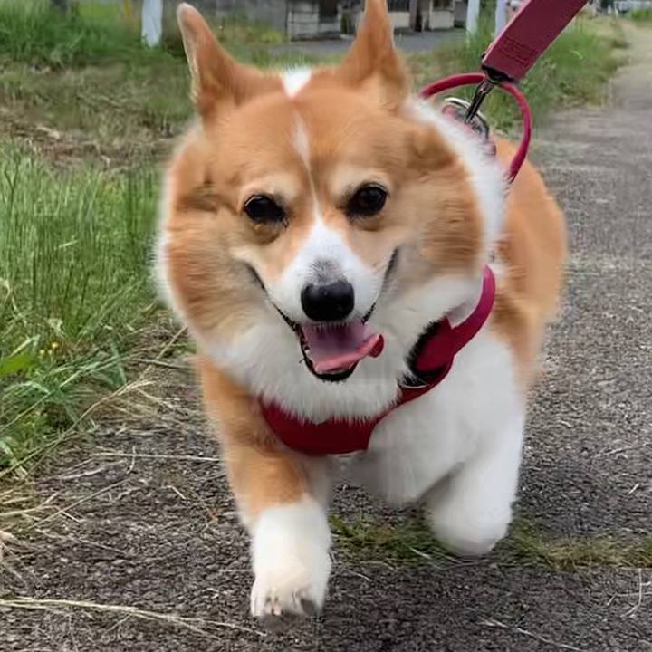 Ce38e62a a3e9 4b44 a637 74b1aedb1cad 1686186135813