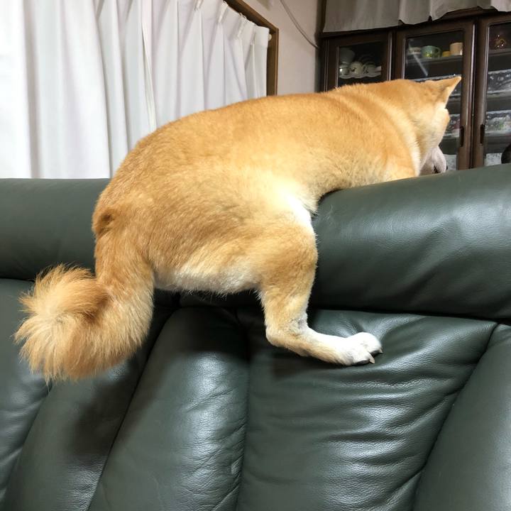 Ce38fa36 929c 4a35 8e5c 519a74c1d3c0 1606449770429