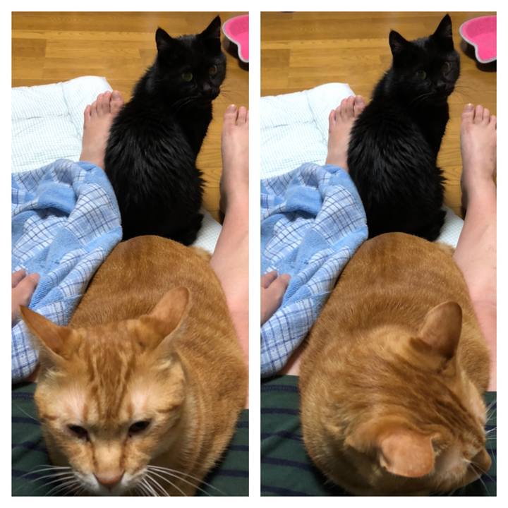 Ce38fc95 d55a 4fc7 895b 5abb6202758e 1569231289923