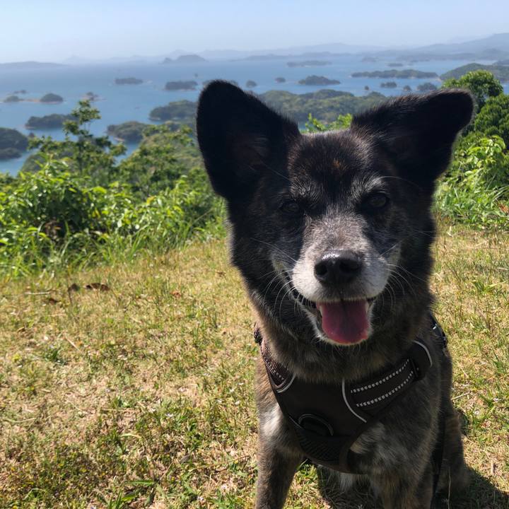 Ce391938 0215 49a7 8dac 31ee0d9cda5b 1620033151691