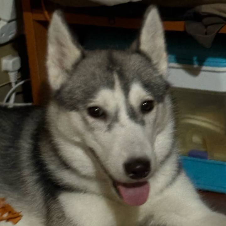 Ce392ab2 3aea 4228 8a1e fd5296003c39 1758453650611