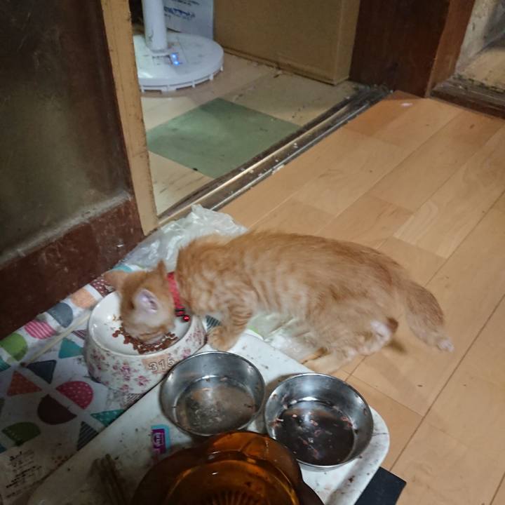 Ce393c33 d701 44e5 80b6 71fe669880ee 1629976396607