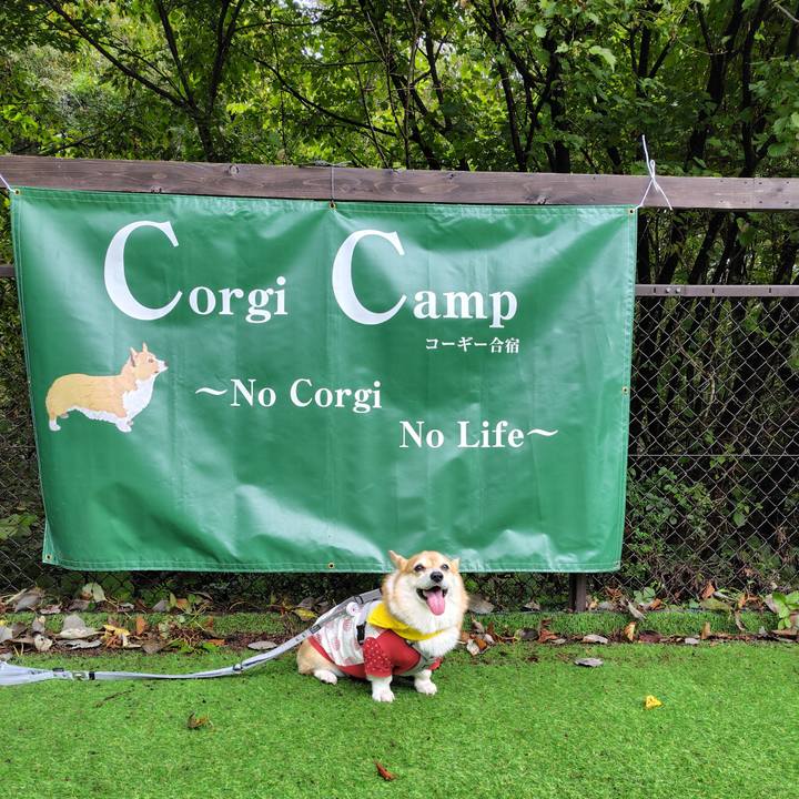 Ce393ef0 38f7 4c9c 8969 8386b4c29cd6 1759927429026