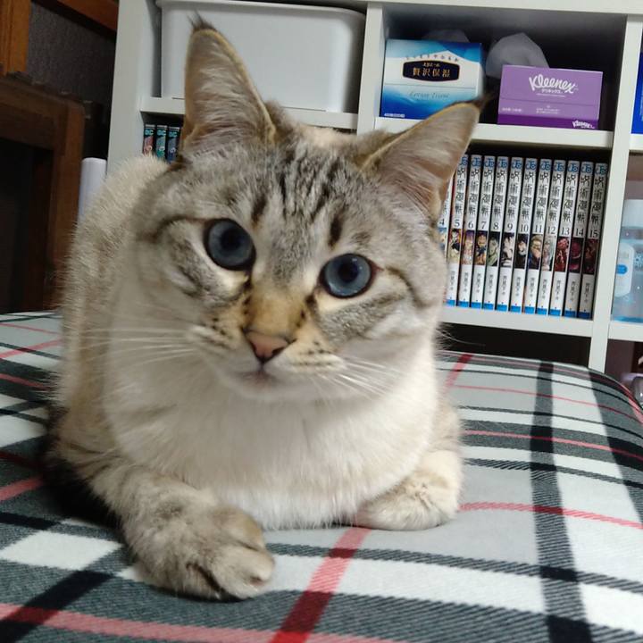 Ce39516e 540c 471e a0be c934770ce796 1616759957114