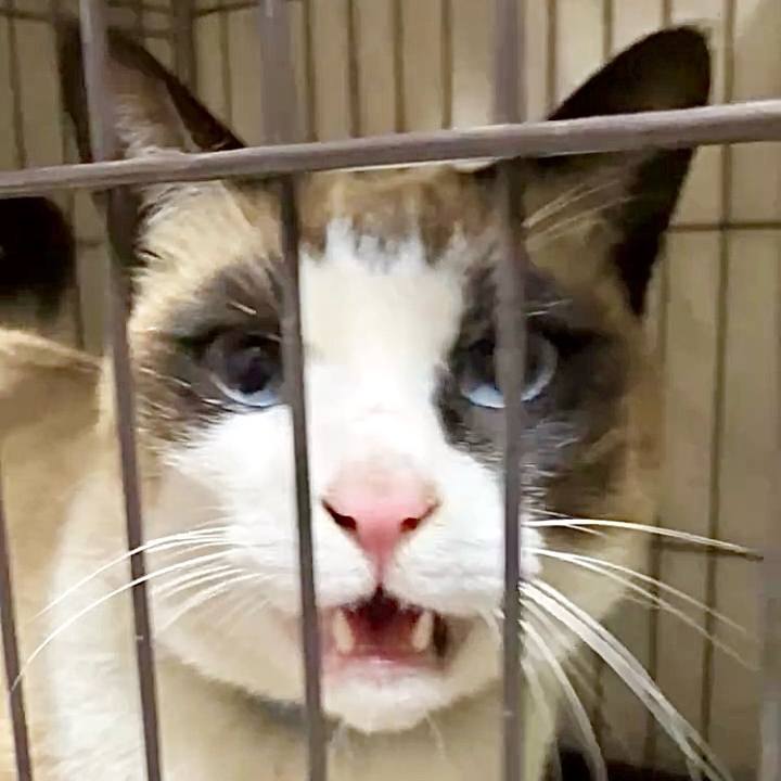 Ce39bb88 6154 41b3 b45c b853d5c9ad44 1740476037630