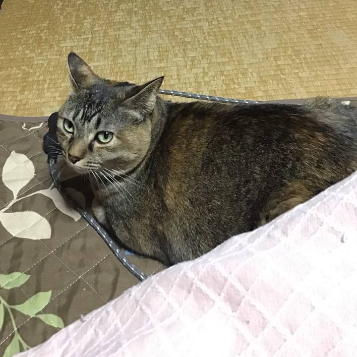 Ce39d6dc 59a0 4347 acfc 89d792c9f7f3 1673959415582