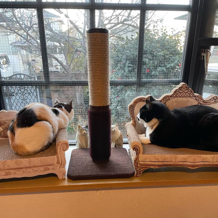 Ce39d8d1 5ee7 4605 a813 0384c3be9482 1677016815372