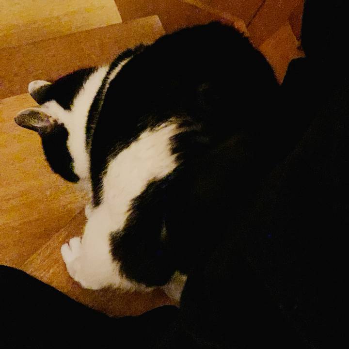 Ce3a20dc 9059 4bc6 b198 84d4804488ec 1584929444846