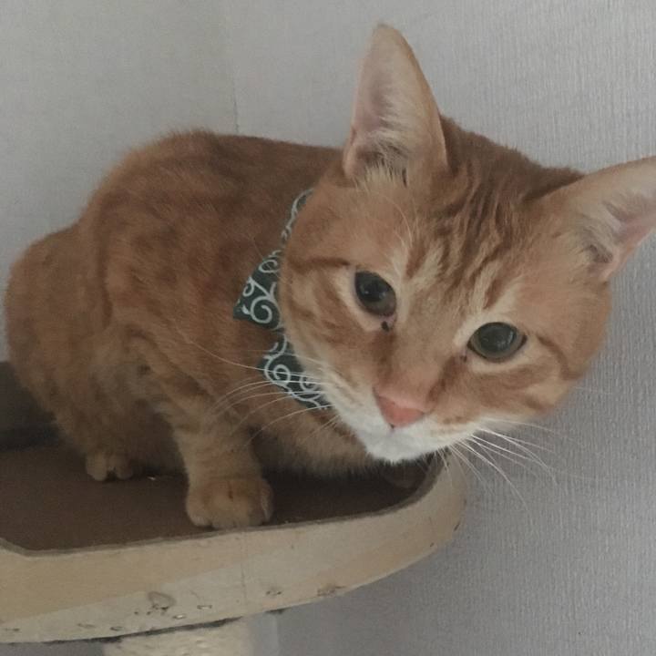 Ce3a287a ce6e 4832 abee ab8cb8314054 1551304961862