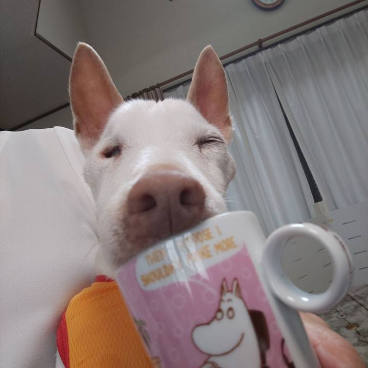 Ce3a2d12 8133 488e 8b0f 74512c4623be 1590450027705