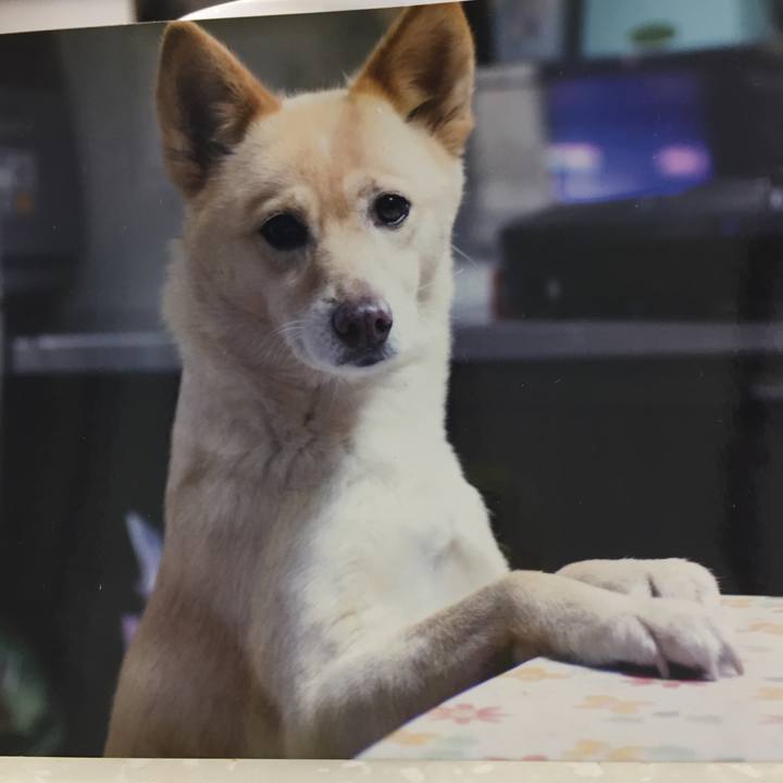 Ce3a32da 3dcf 44c8 9413 7f34e2b306e6 1525398869164