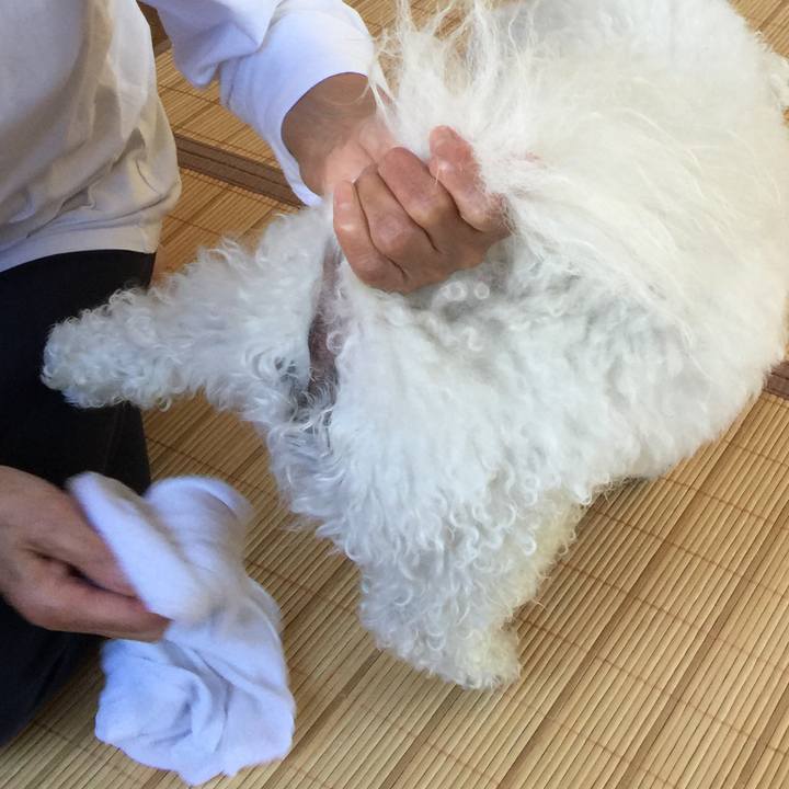 Ce3a4a65 b0fd 4df9 956e 23ccd1bb656f 1529190111417