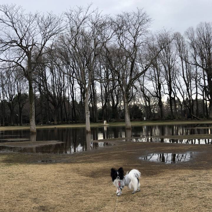 Ce3a504b 1328 4ae4 ab0d bbbe5573b3f1 1520643440463