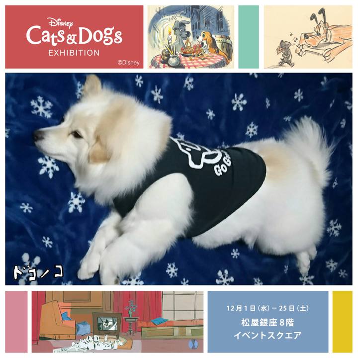 Ce3a92f6 be68 45d6 8b00 c66813a31955 1638350588905