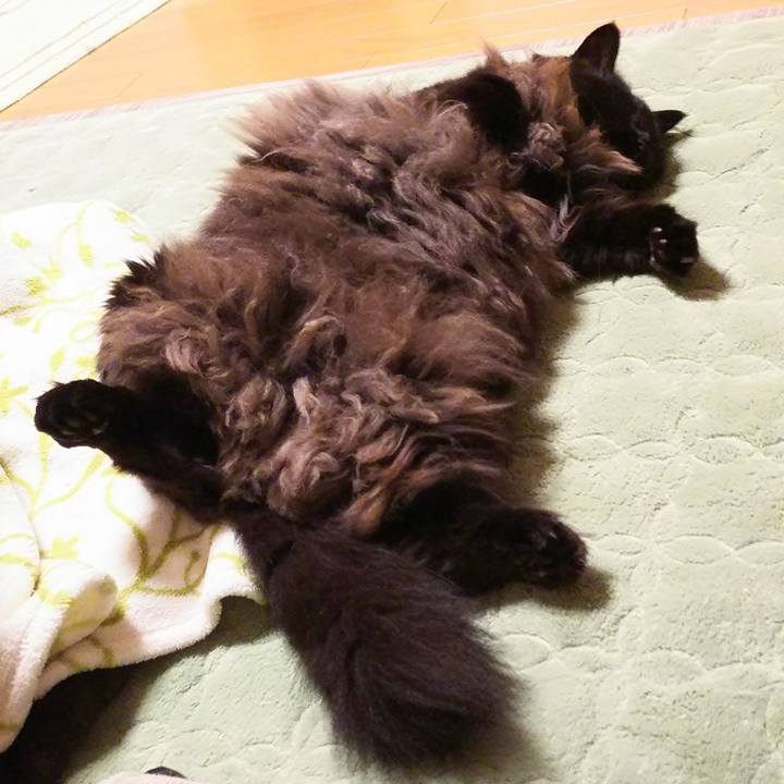 Ce3aa960 c179 4e74 9f47 f81c4c03b57d 1514203476951