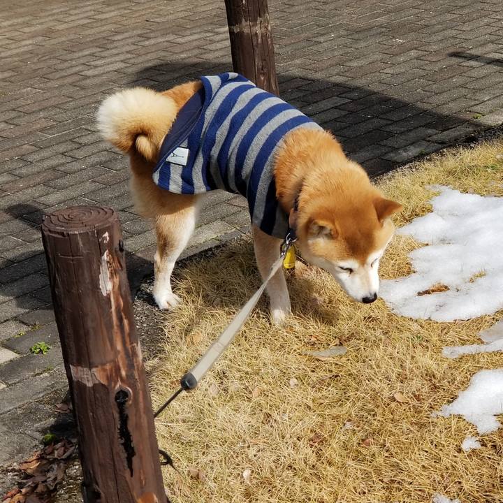 Ce3ad8c0 3e5e 409d a9f5 2f80853aae2a 1580703253701