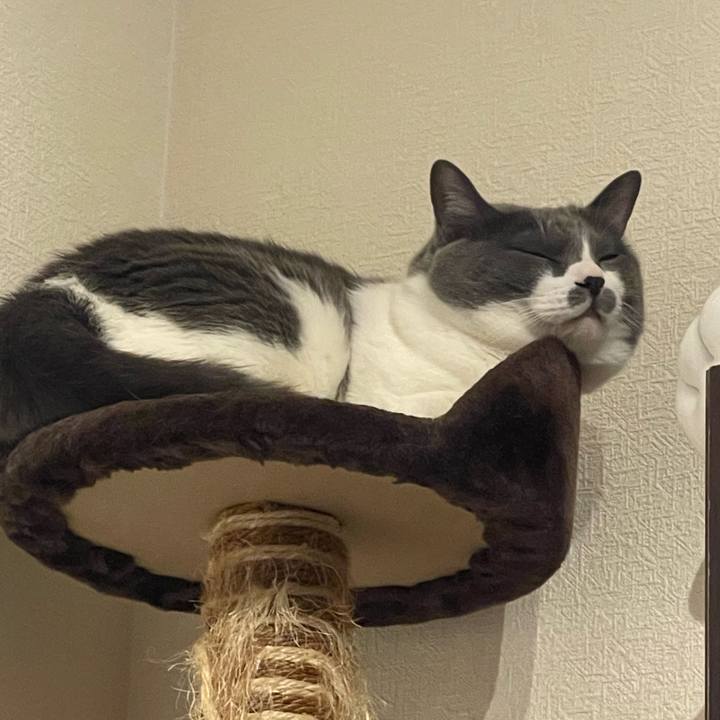 Ce3ae438 6e7f 4b53 9201 c26775f2ea9d 1749573750293