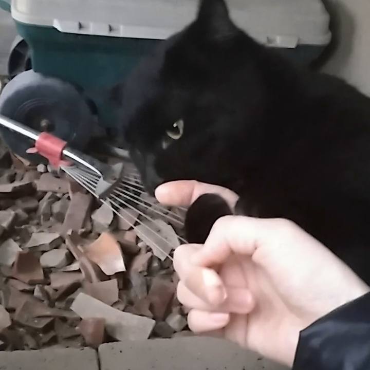 Ce3ae86f 8f43 46c6 8c9f 35de5282fdbd 1550652786705