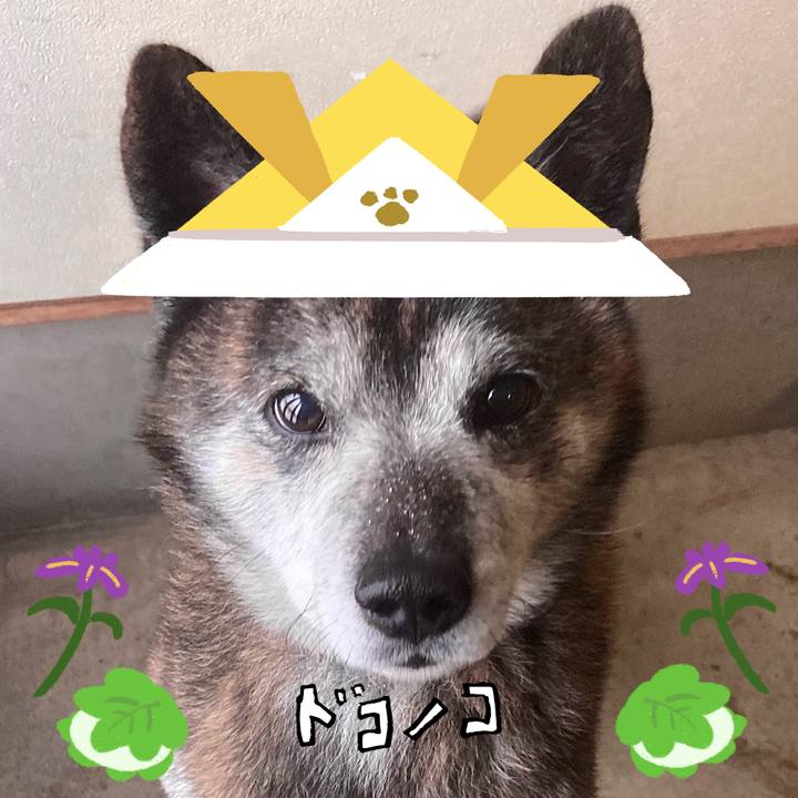 Ce3af833 fea5 47c6 908b d7596df13cda 1714910347780