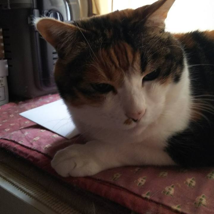 Ce3afded b0c2 46c1 9d2c 1b631edf45ac 1532986927148