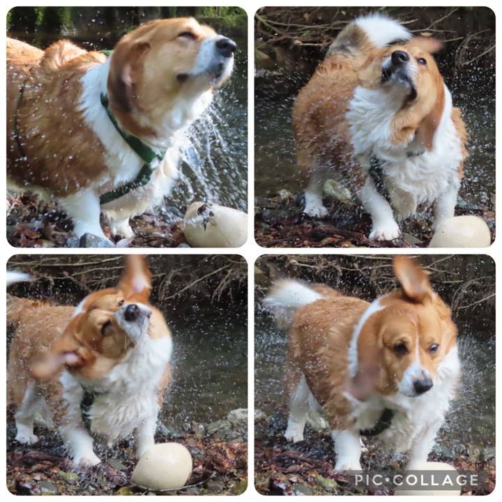 Ce3b37ee e17c 40db a56b 13bdb131534c 1721785606121