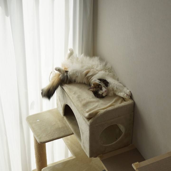 Ce3b41bb a1a6 47a8 a03a b96825410192 1622699535902