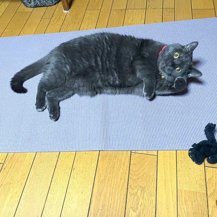 Ce3b5055 9d22 409f b5a6 8596c0106380 1764975159909