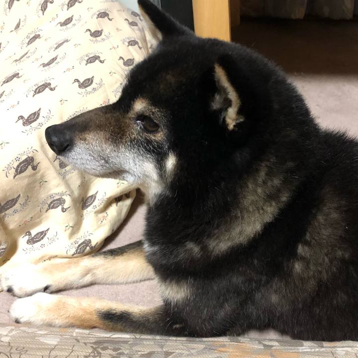 Ce3b7cc0 c4e8 4aae ae6f 6a27a68d9113 1618121112001