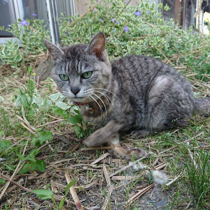 Ce3b84ef f357 4903 b994 71d5fb4e9267 1590914296508