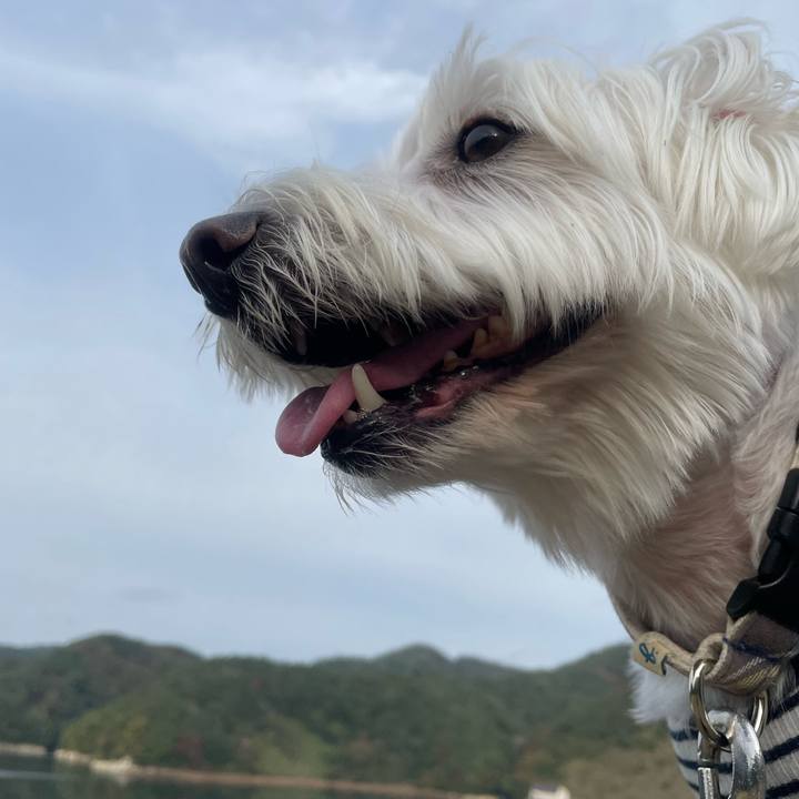 Ce3bcd1e f82c 4dce be5f e9f10ead1419 1731295916141