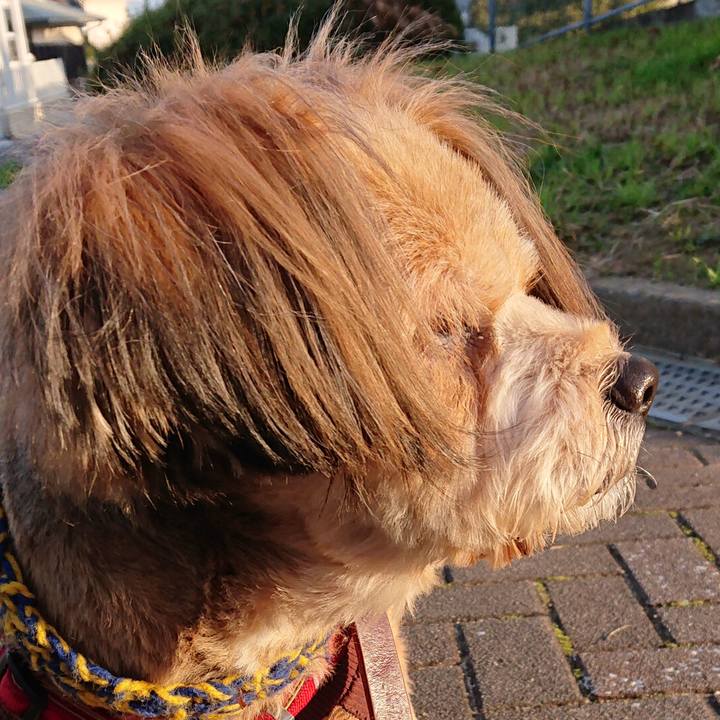 Ce3bda89 384f 43c1 9f75 8a1257bd4409 1579564561042