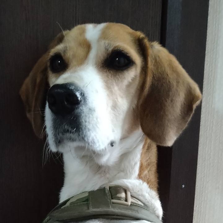 Ce3bfe6c 89f6 4229 8103 e9bea6c9e8ba 1670598690258