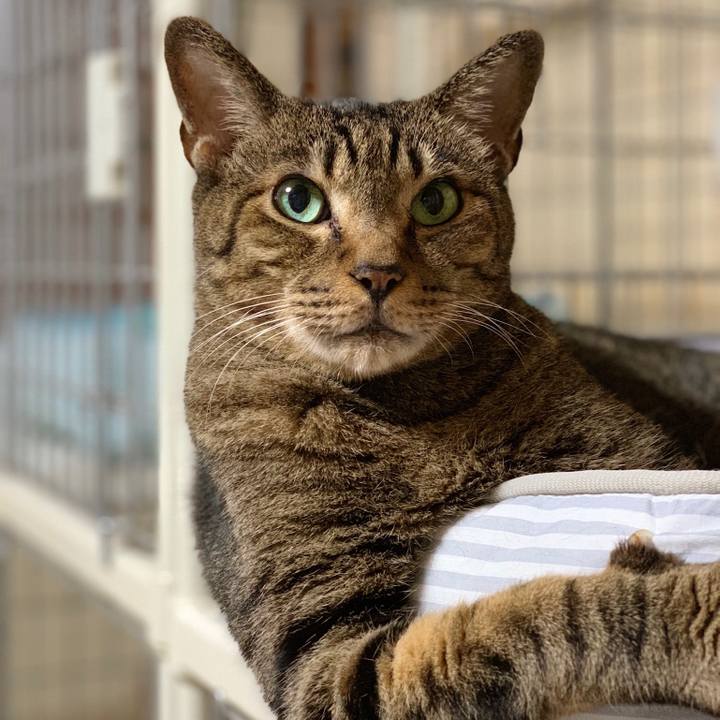 Ce3c0d5e 9343 4342 9076 7ab2d4dd33c4 1537664884227