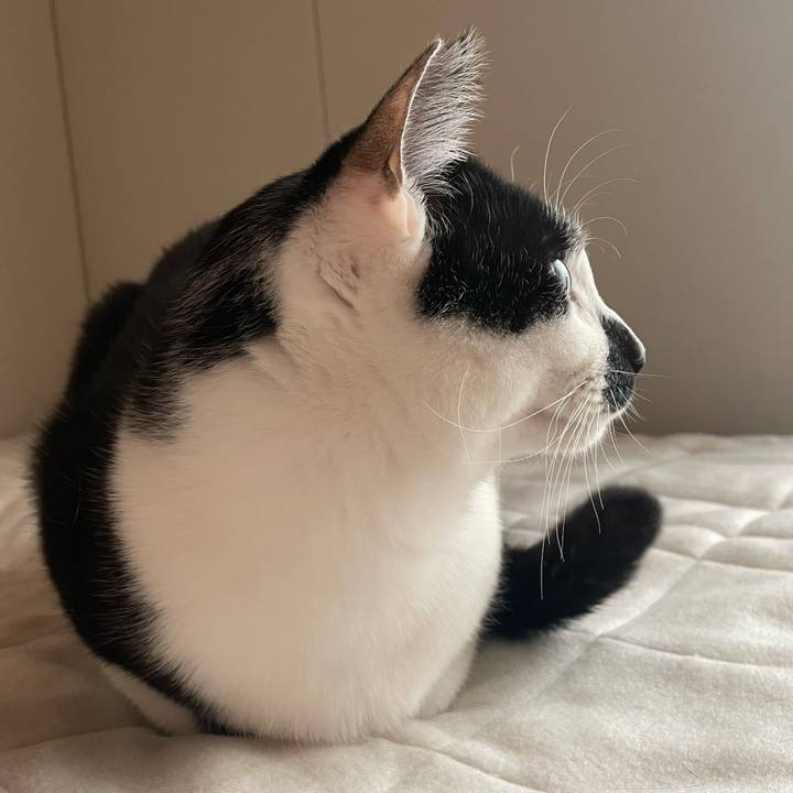 Ce3c501d 952f 4313 9097 f58a9c8800f5 1768530782781