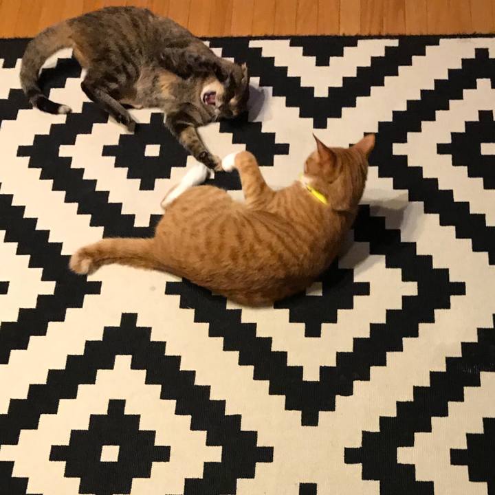 Ce3c5507 d12f 4613 a3dc 411677b63029 1530880420942