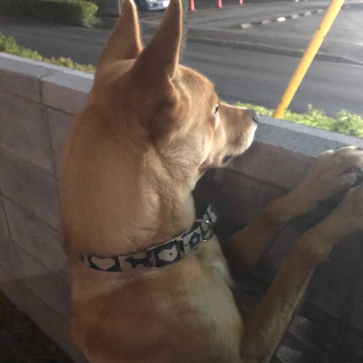 Ce3c96c9 3633 471d b691 1efe1e5aa7c3 1555680812169