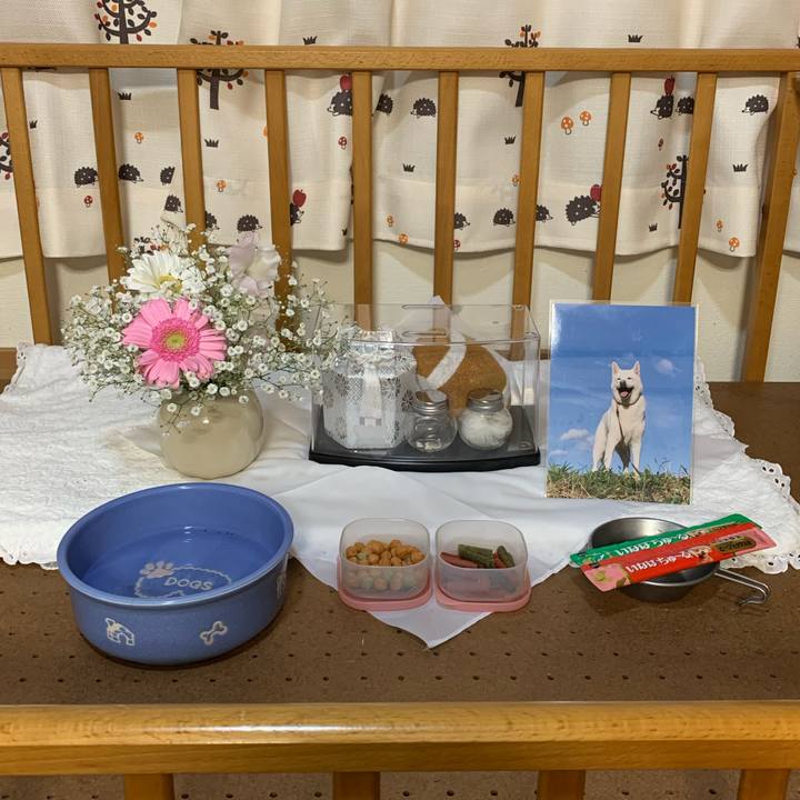 Ce3c9e46 fa55 4884 8b78 4fb152a2203e 1588636041000