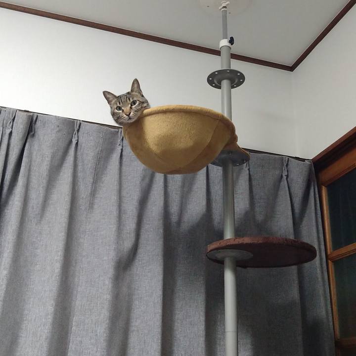 Ce3cade2 10f2 4b8c 8861 9cd56827fa2e 1612867819036