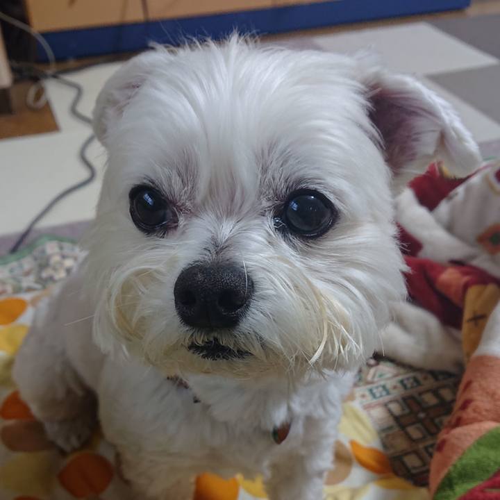 Ce3d3a72 d8c7 4811 9792 1d1e01eca63a 1649146671606