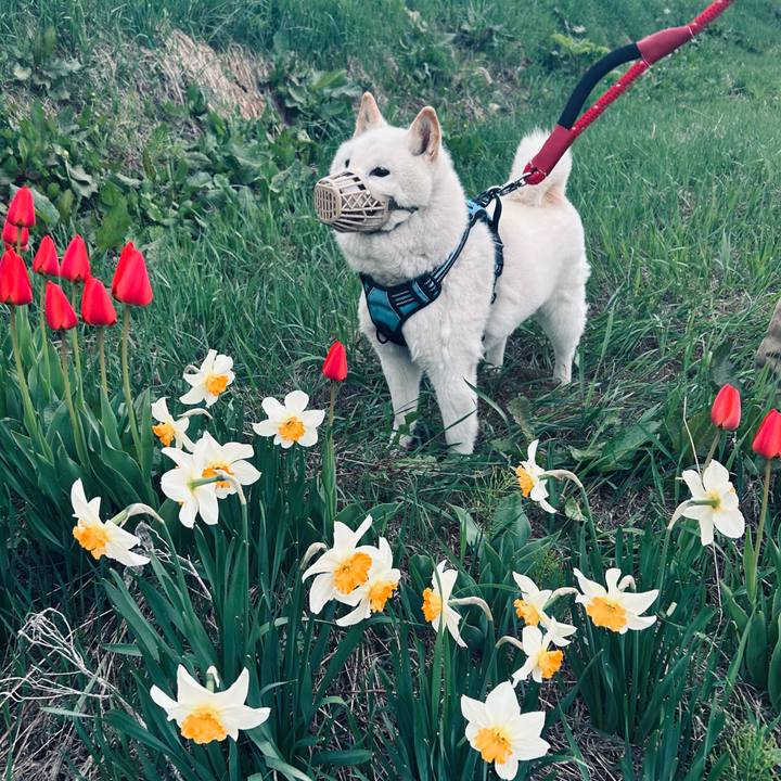 Ce3d5e5c 41fb 4387 a6df 80c89da91eef 1683580148318