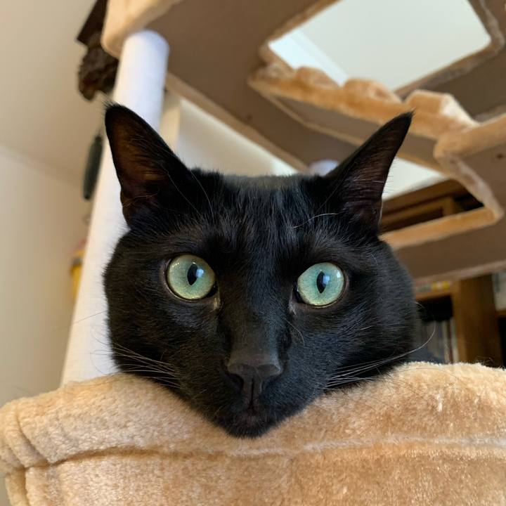 Ce3d93f5 6a5f 4f97 b3ff aaffd6b80489 1614602127641