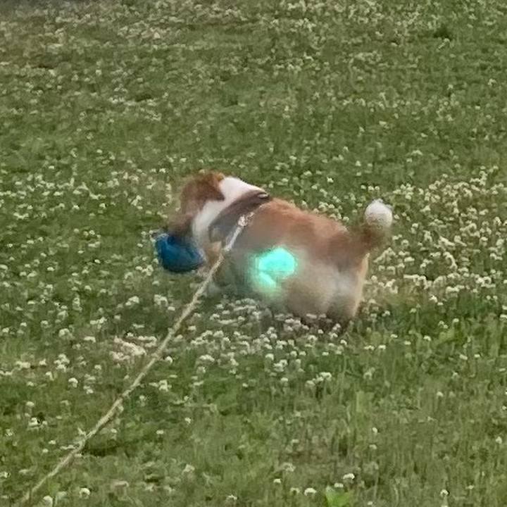 Ce3d9889 dca7 4712 9deb 09cf9c914ccf 1685494315944