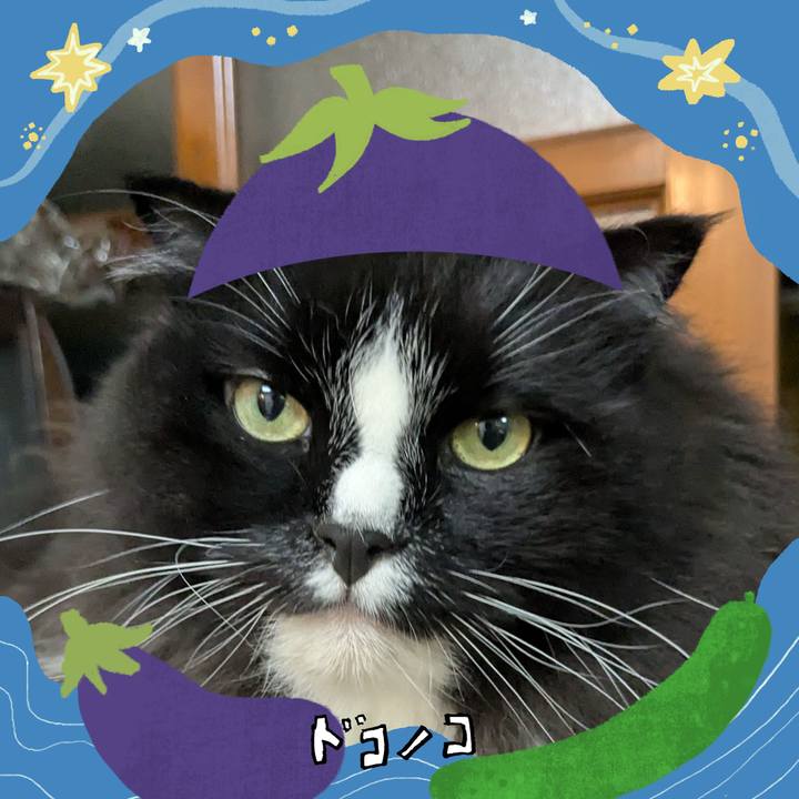 Ce3da777 9fd6 4802 b60e 1f3998697bb8 1755363667491