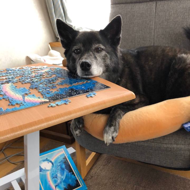 Ce3daf8f 7124 4af6 b091 be133bdc67d2 1584688079645